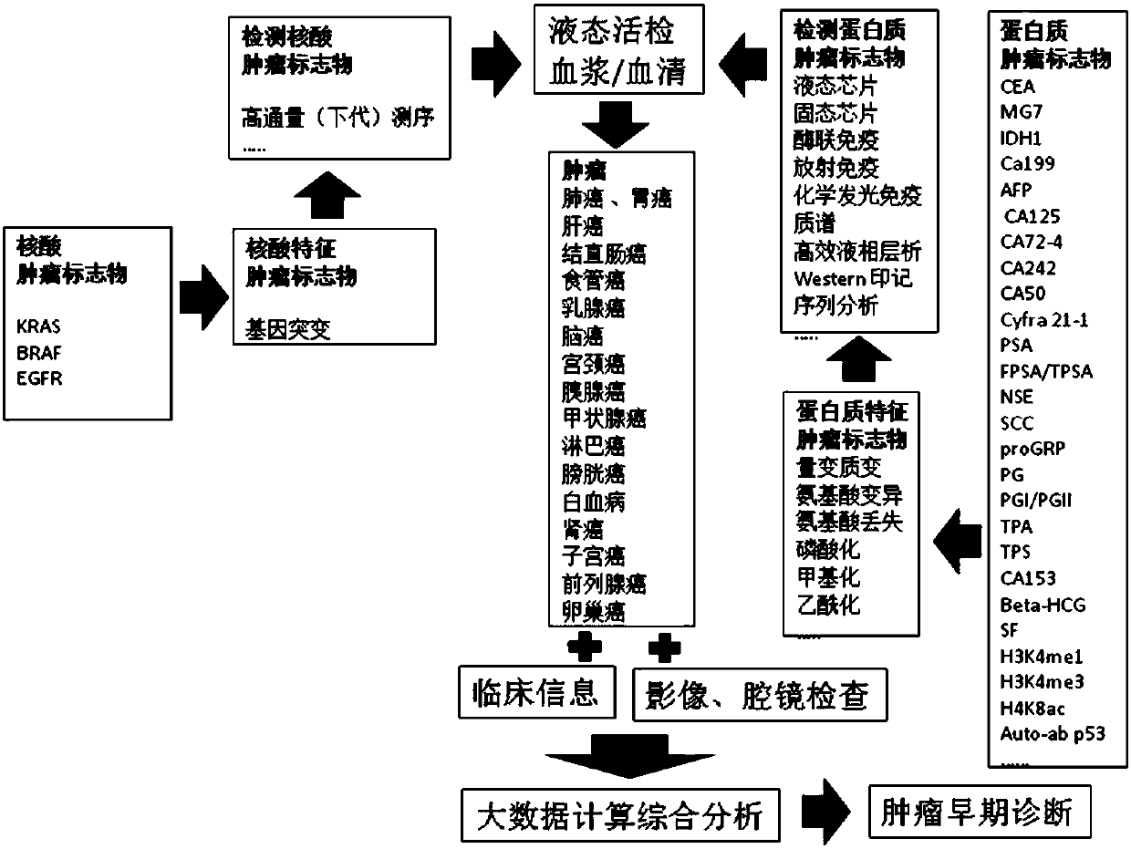 Systemic detection method of tumor marker and application thereof