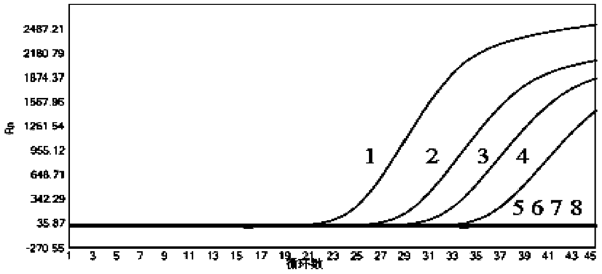 Mycobacterium tuberculosis complex rapid detection kit and preparation method thereof