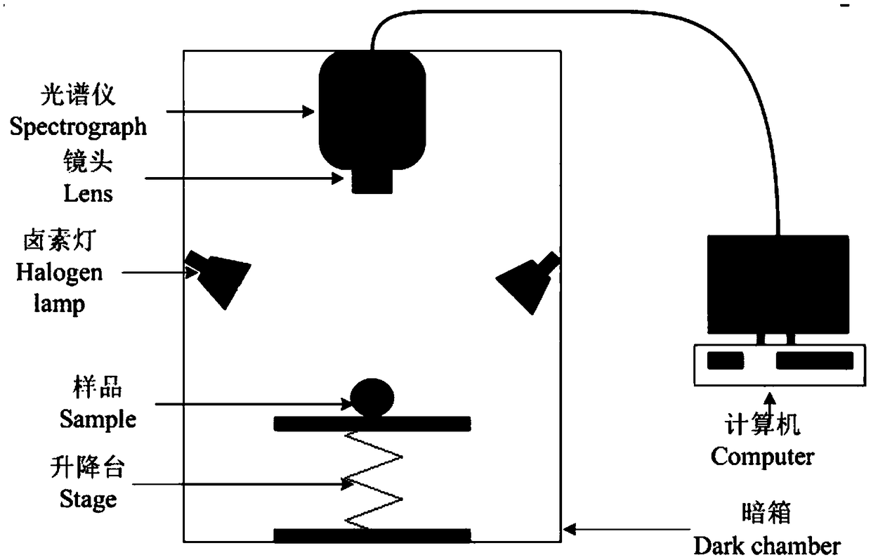 MSC-CFS-ICA-based apple slight damage hyperspectral detection method