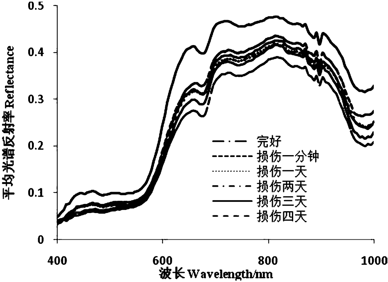 MSC-CFS-ICA-based apple slight damage hyperspectral detection method