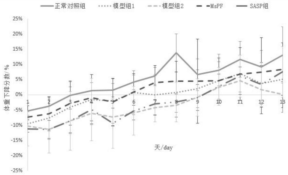 Extraction method and application of morchella extract