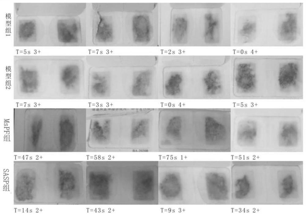 Extraction method and application of morchella extract