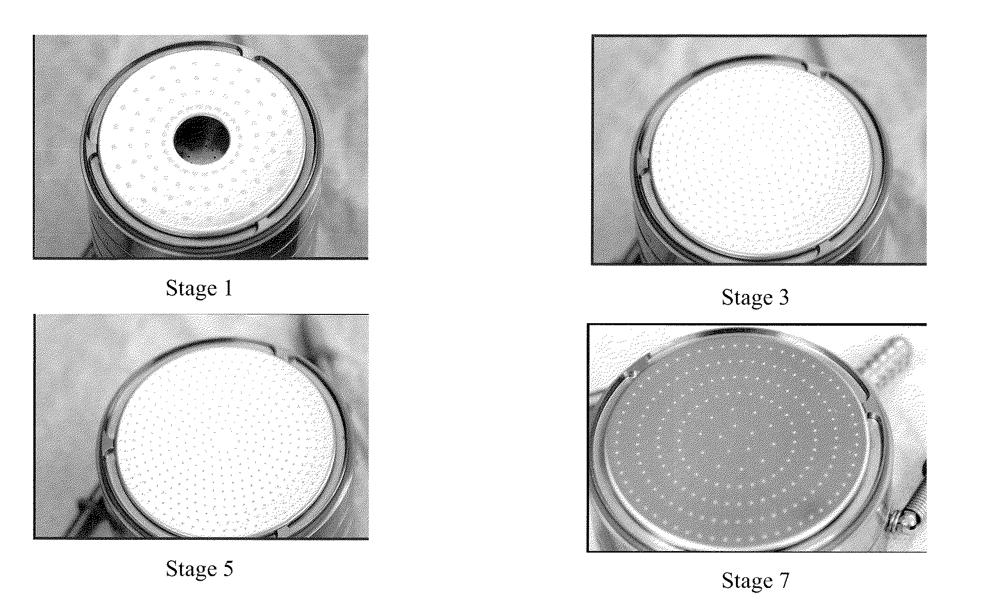 Apparatus for Localized Coating of Cascade Impactor Particle Collection Surfaces