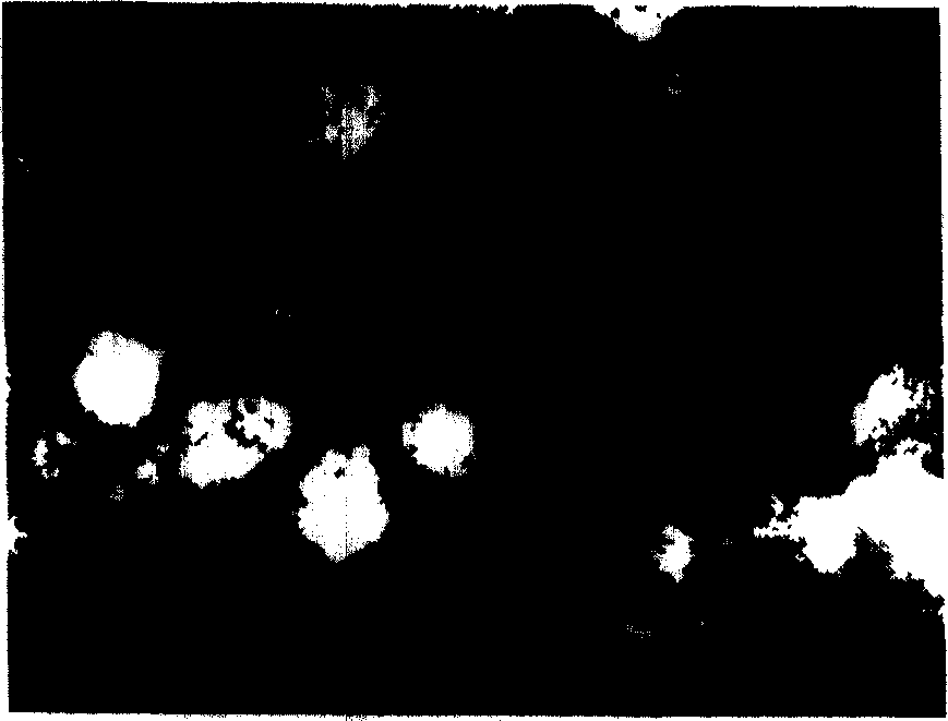 Composite hydrogen storage material contg. magnesium-transition metals oxides, preparation method and application thereof