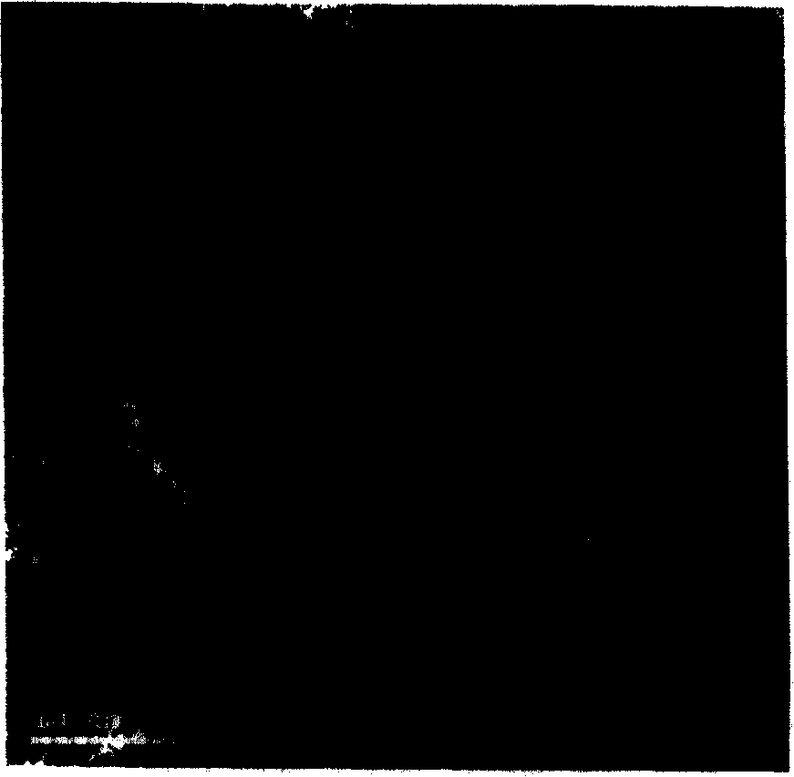 Composite hydrogen storage material contg. magnesium-transition metals oxides, preparation method and application thereof