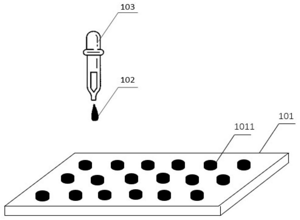 Biomacromolecule detection method and device based on nano array structure