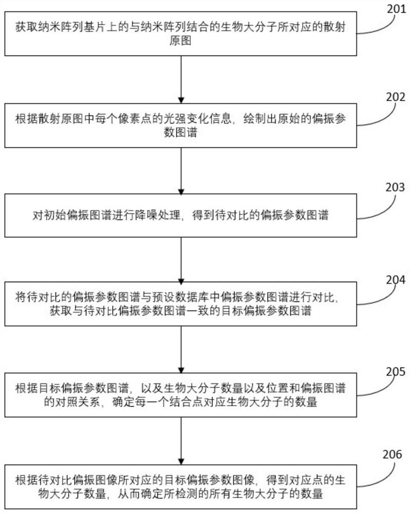 Biomacromolecule detection method and device based on nano array structure