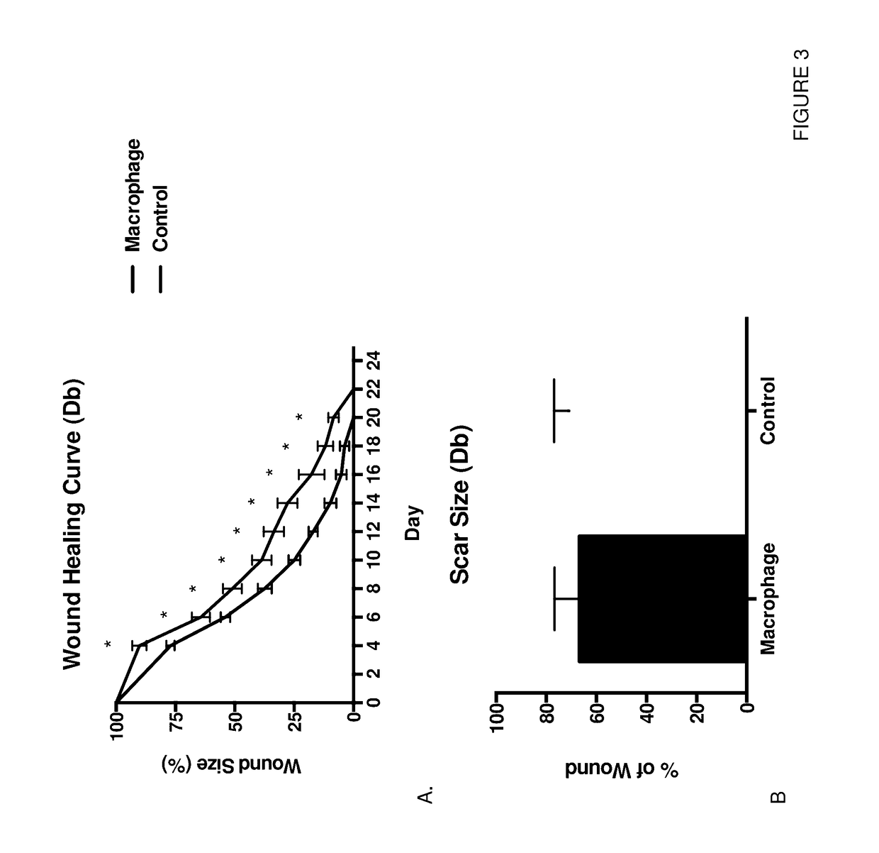 Macrophage or monocyte enhanced wound healing