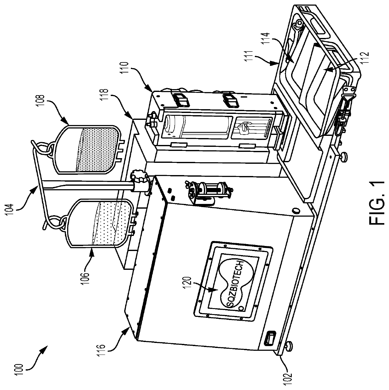 System for delivery of a payload into a cell