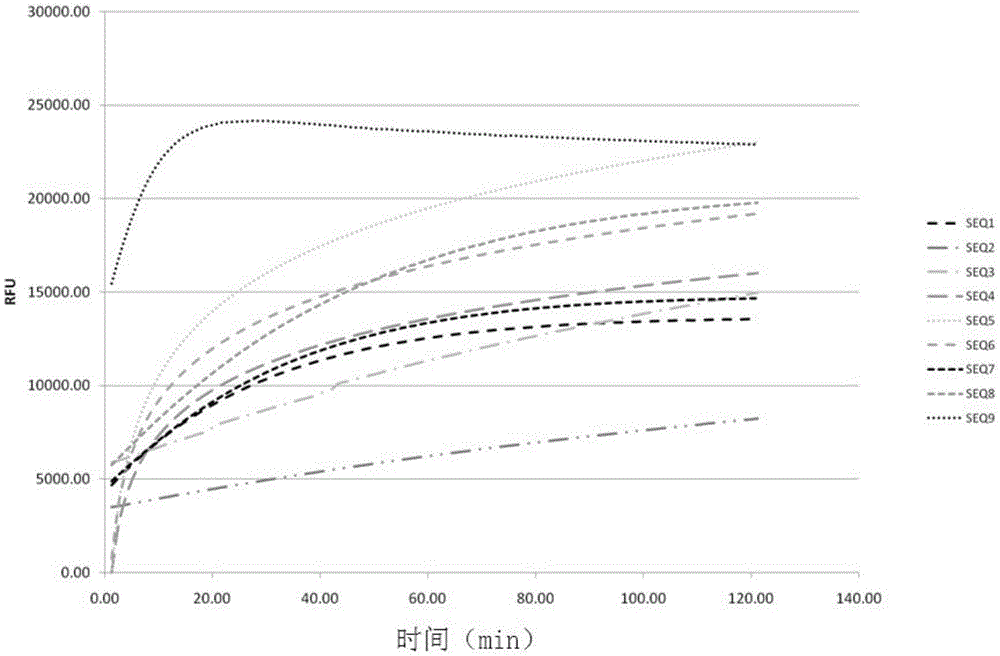 Method and kit for detecting ribonuclease