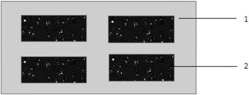 Preparation method of sludge biocharcoal water permeable brick with high adsorption performance