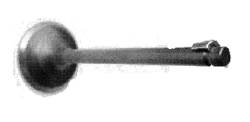 Engine valve device