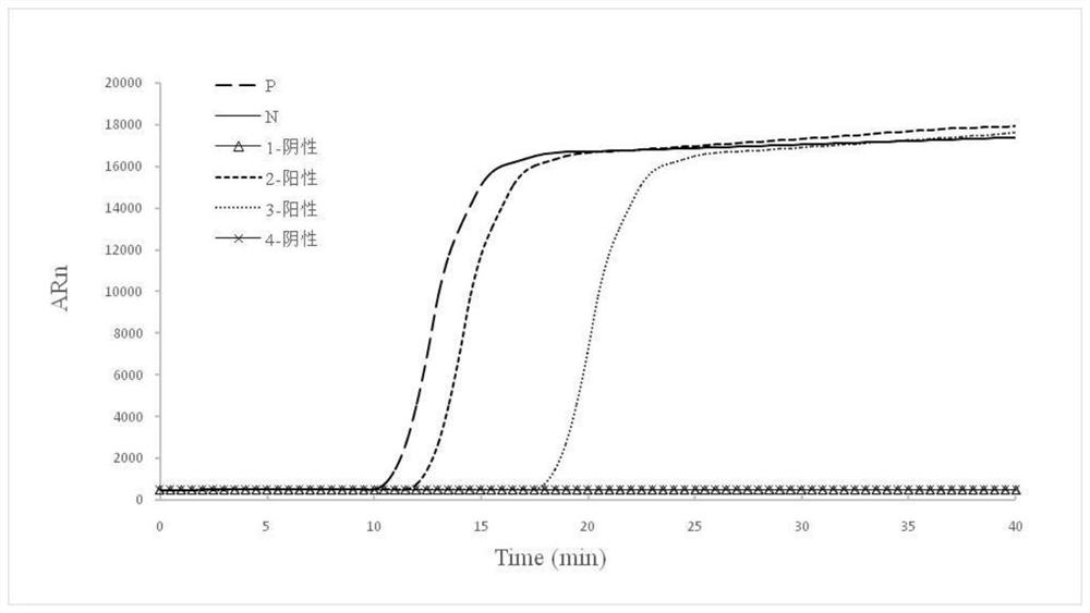 Double-target SARS-CoV-2 virus nucleic acid detection primer group, application and fluorescent kit