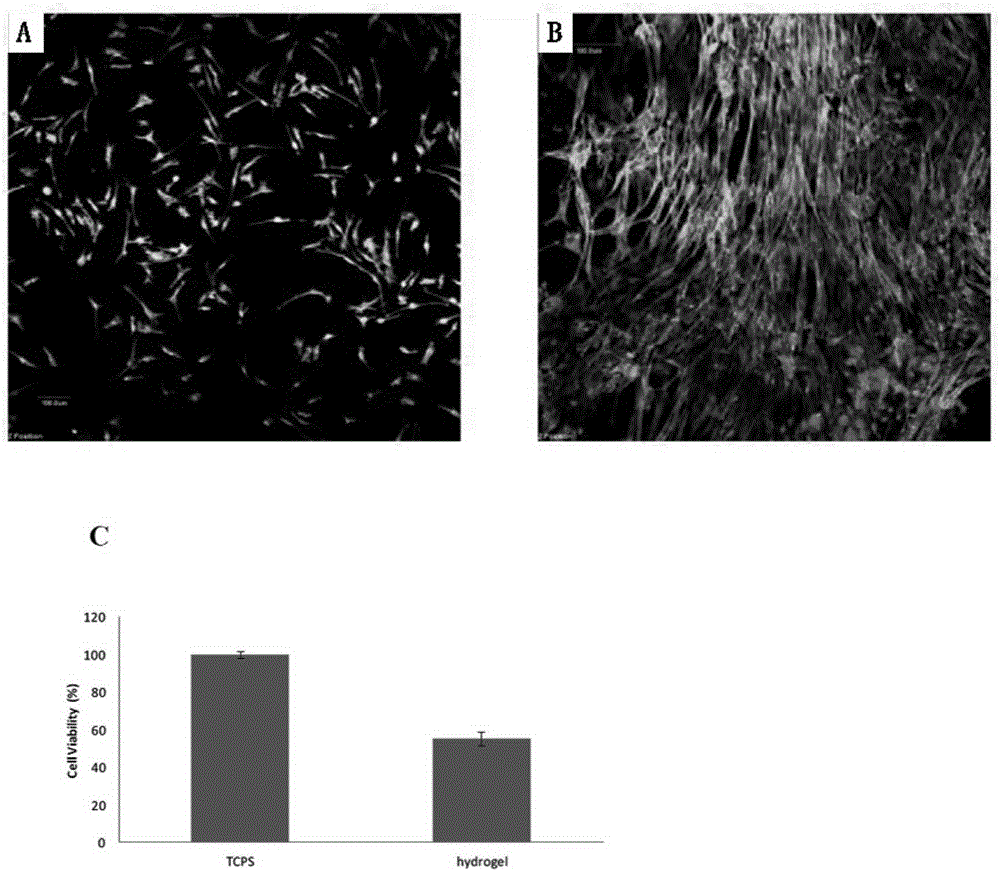 Injectable modified hyaluronic acid and its preparation method and composition