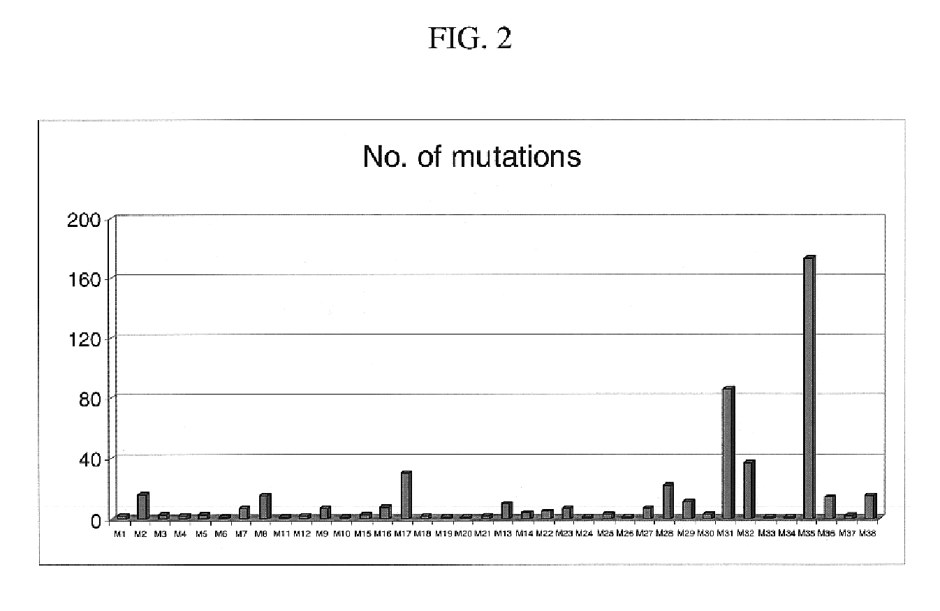 Mutation detection on RNA polmerase beta subunit gene having rifampin resistance