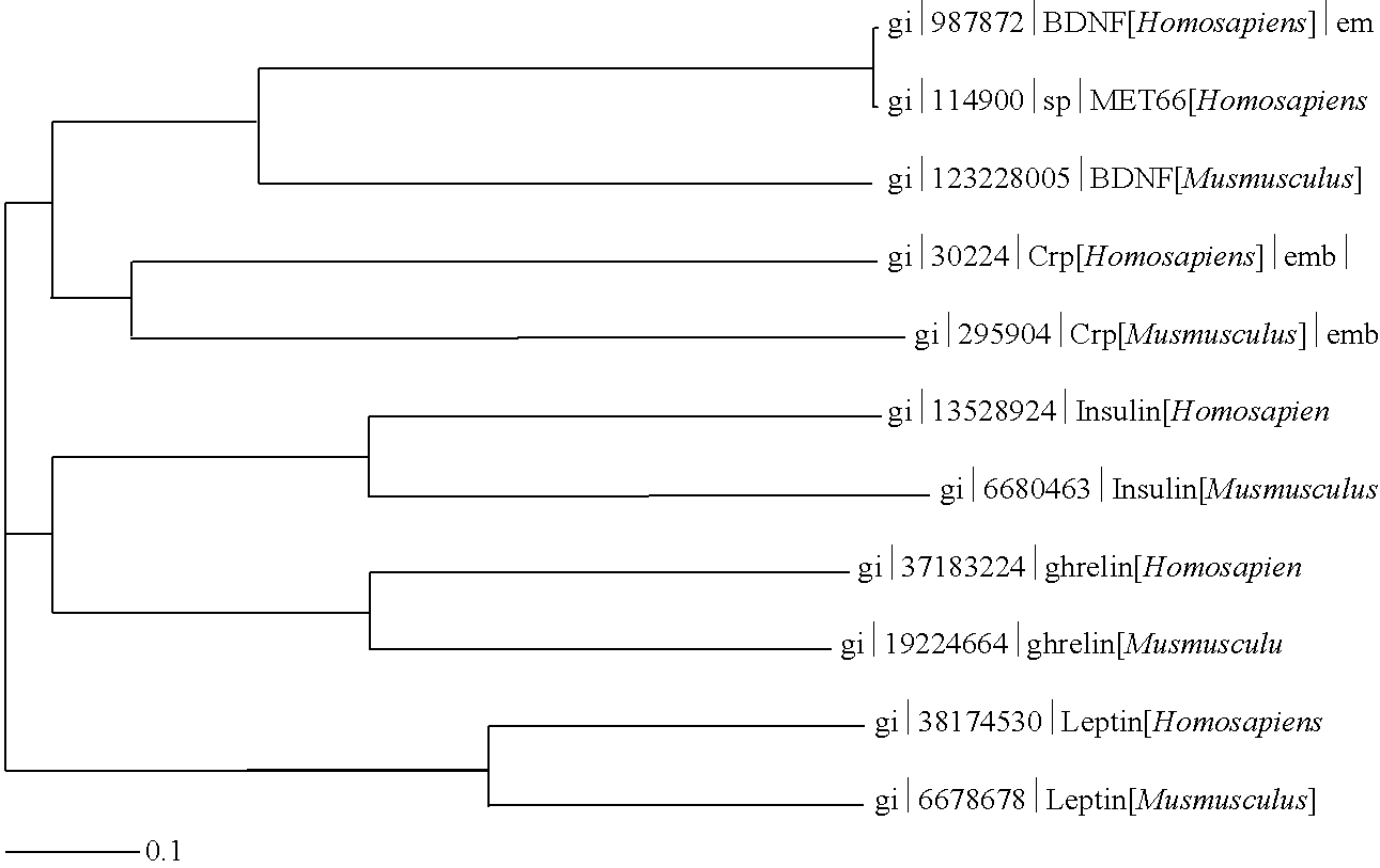 Method(s) of stabilizing and potentiating the actions and administration of brain-derived neurotrophic factor (BDNF)