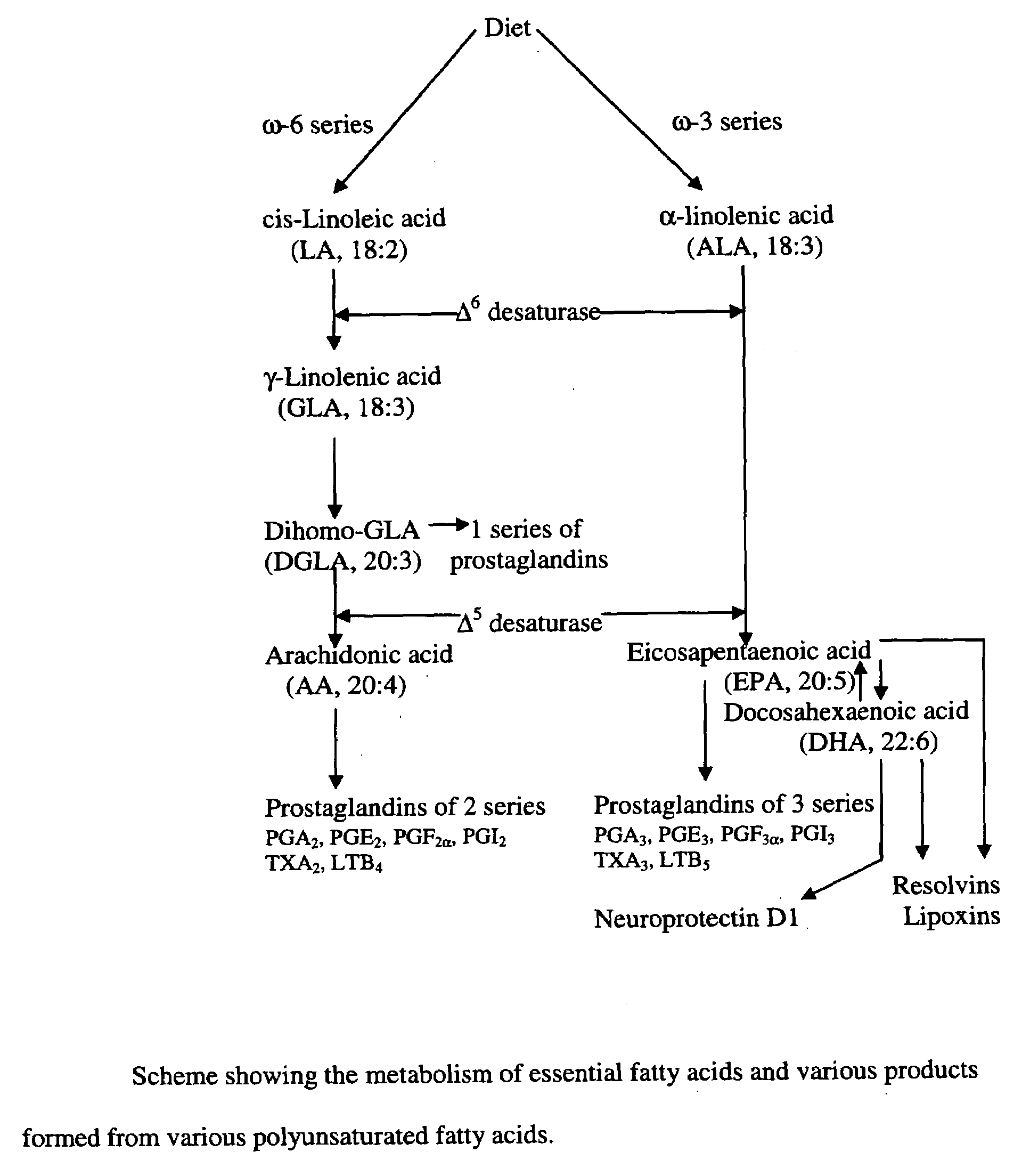 Method(s) of stabilizing and potentiating the actions and administration of brain-derived neurotrophic factor (BDNF)