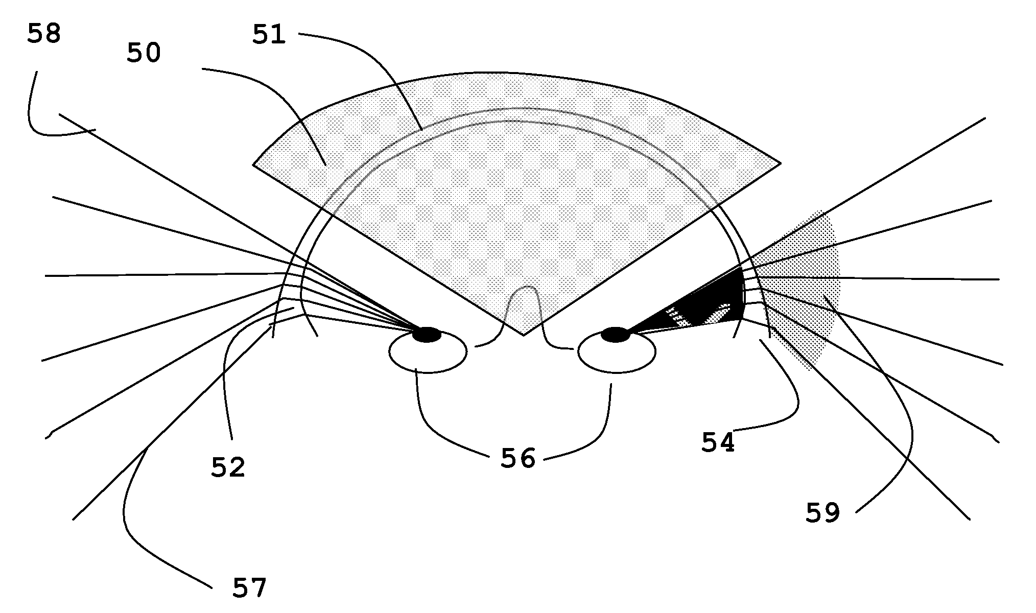 Optical system for enhanced vision