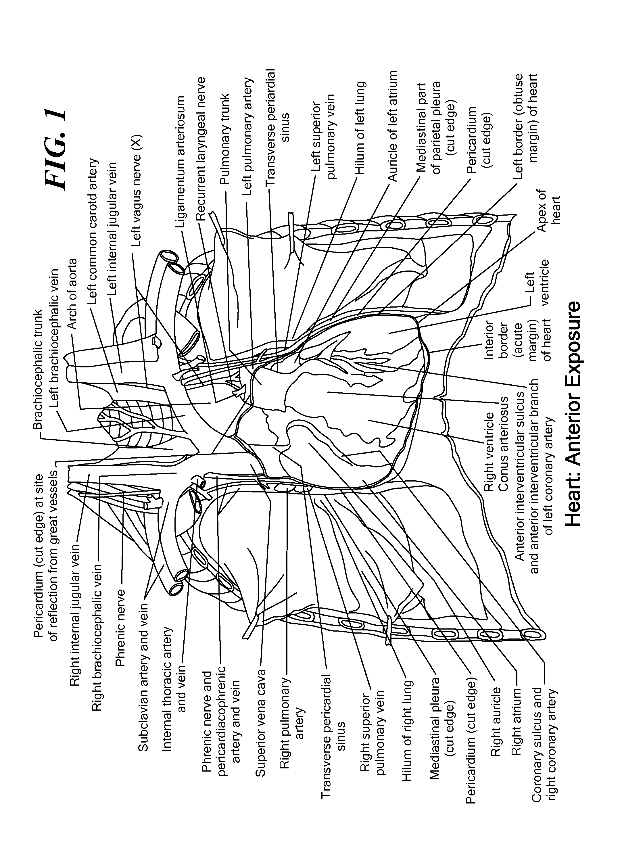 Method for monitoring phrenic nerve function