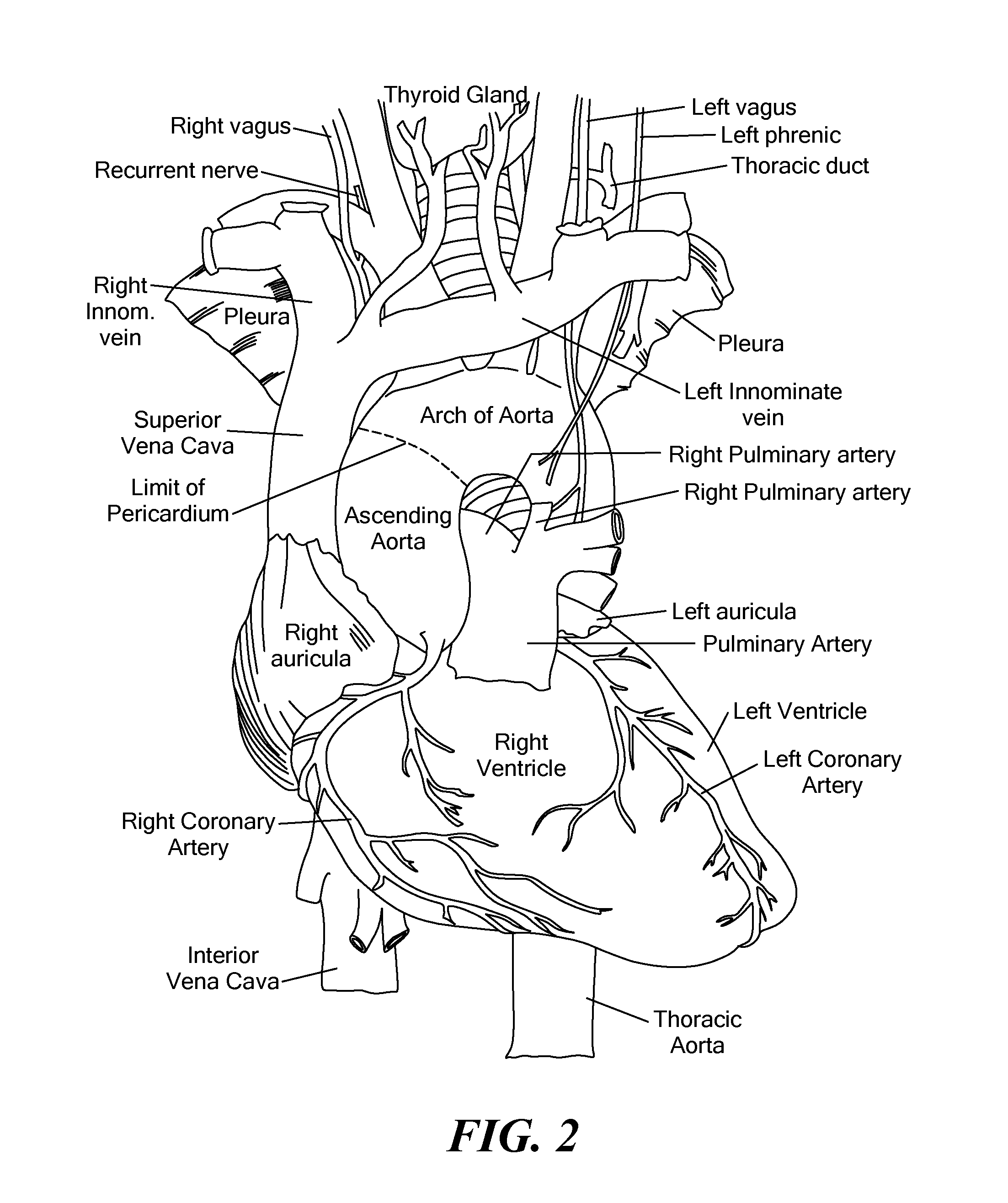 Method for monitoring phrenic nerve function