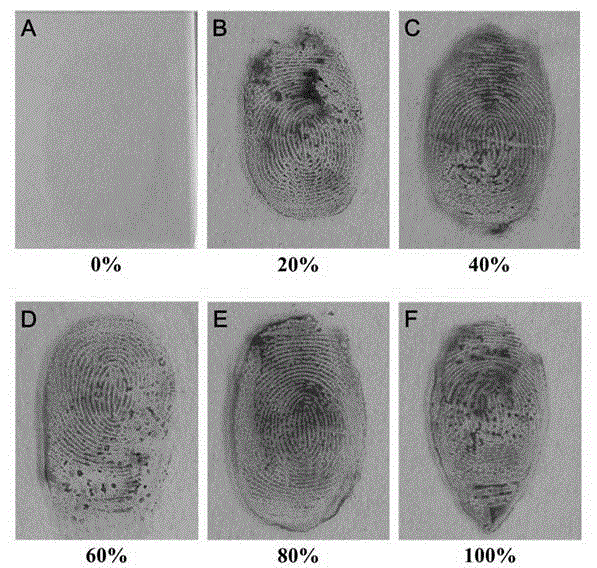 Novel silver development reagent for latent fingerprint development and preparation process of silver development reagent