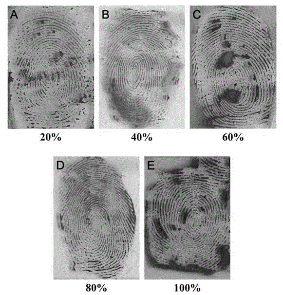 Novel silver development reagent for latent fingerprint development and preparation process of silver development reagent