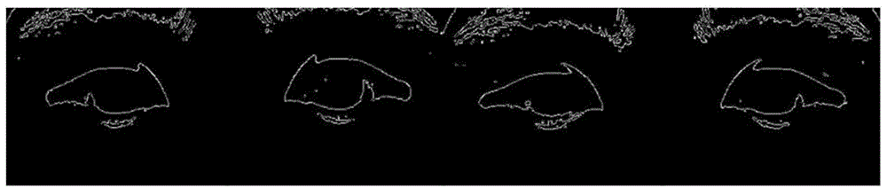 Rapid iris positioning method with illumination robustness