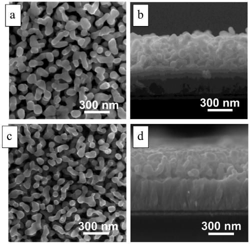 Copper bismuthate film embedded with ligand-free quantum dots, and preparation method and application thereof