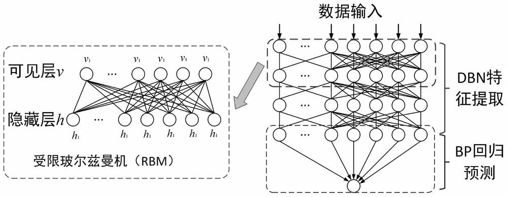 Angelica dahurica decoction piece quality prediction method based on hyperspectral imaging depth analysis