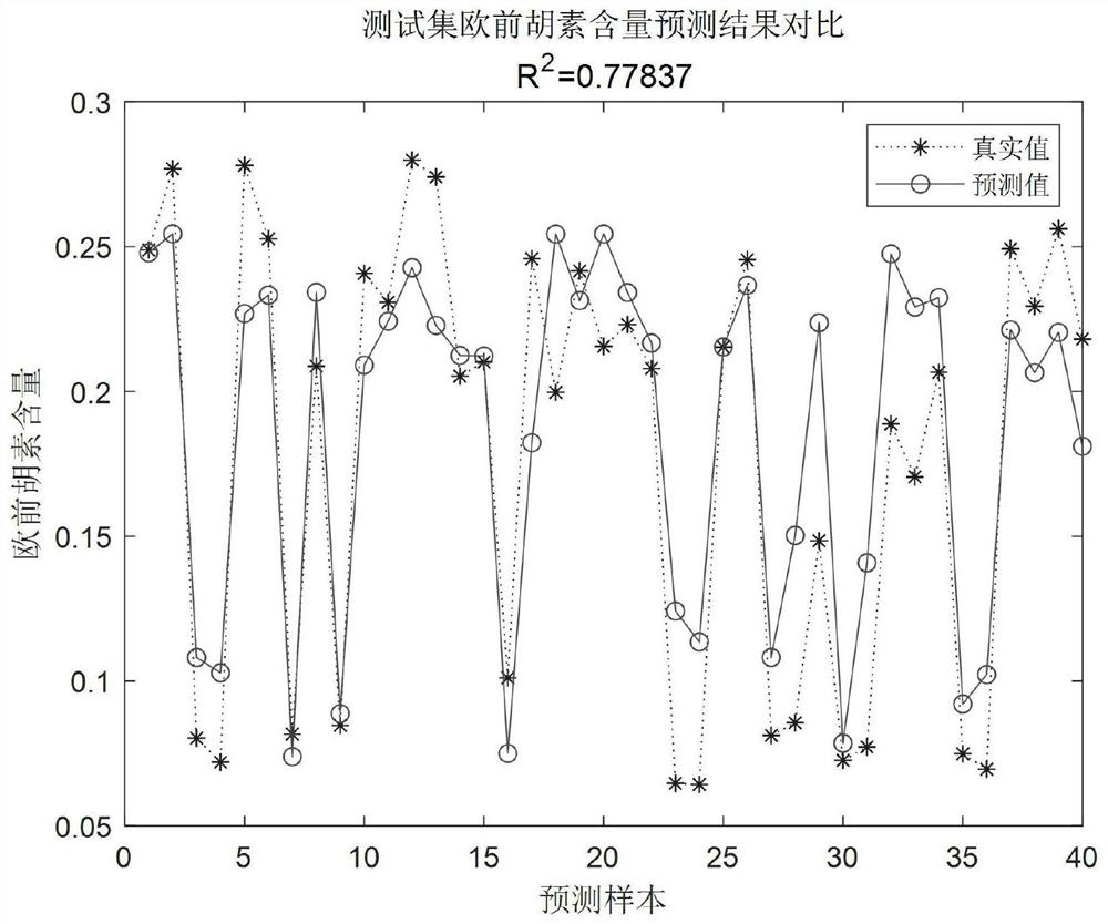 Angelica dahurica decoction piece quality prediction method based on hyperspectral imaging depth analysis