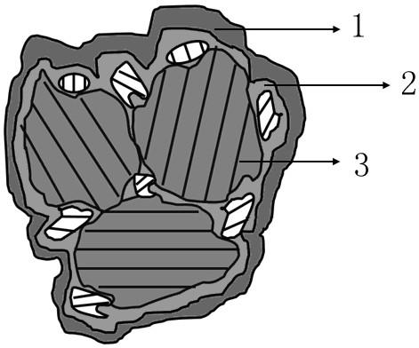 High-capacity rapid charge graphite negative electrode material and preparation method thereof