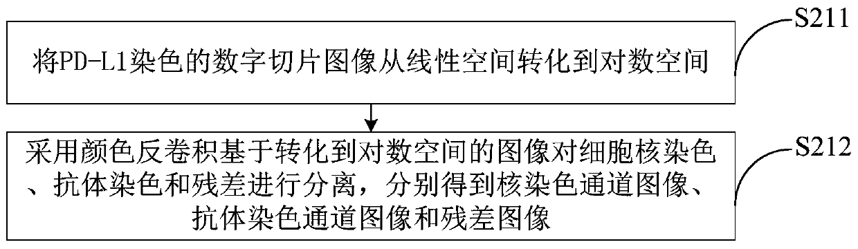 Automatic slice reading method and automatic slice reading system for PD-L1 antibody staining slices