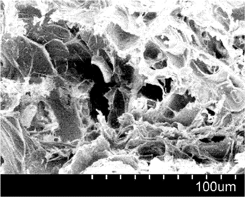 Preparation method of macroporous cross-linked sodium alginate gel beads