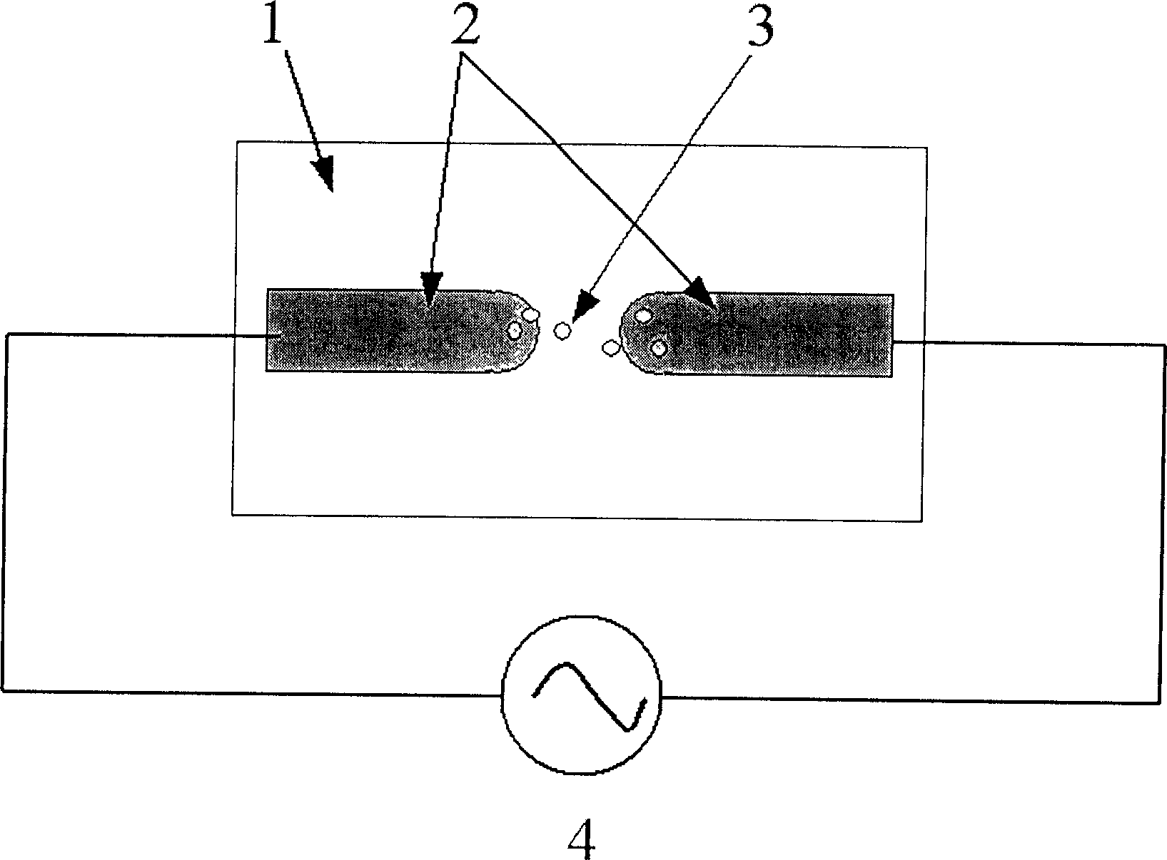 10 nano-level gap electrode preparing method