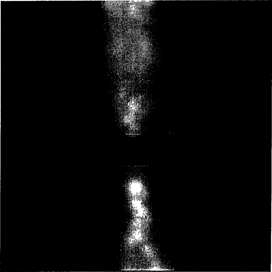 10 nano-level gap electrode preparing method