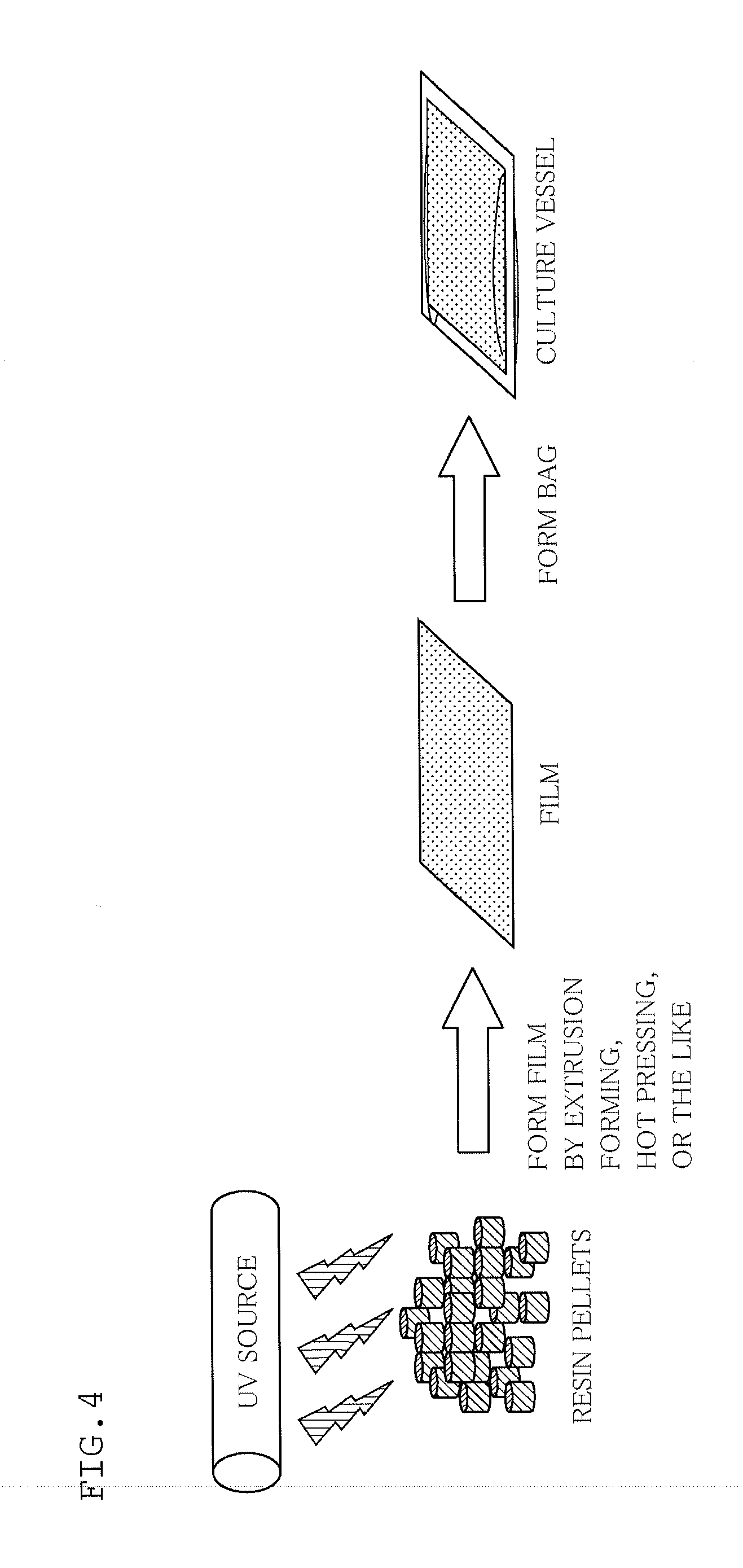 Culture container for adherent cells and method for producing culture container for adherent cells