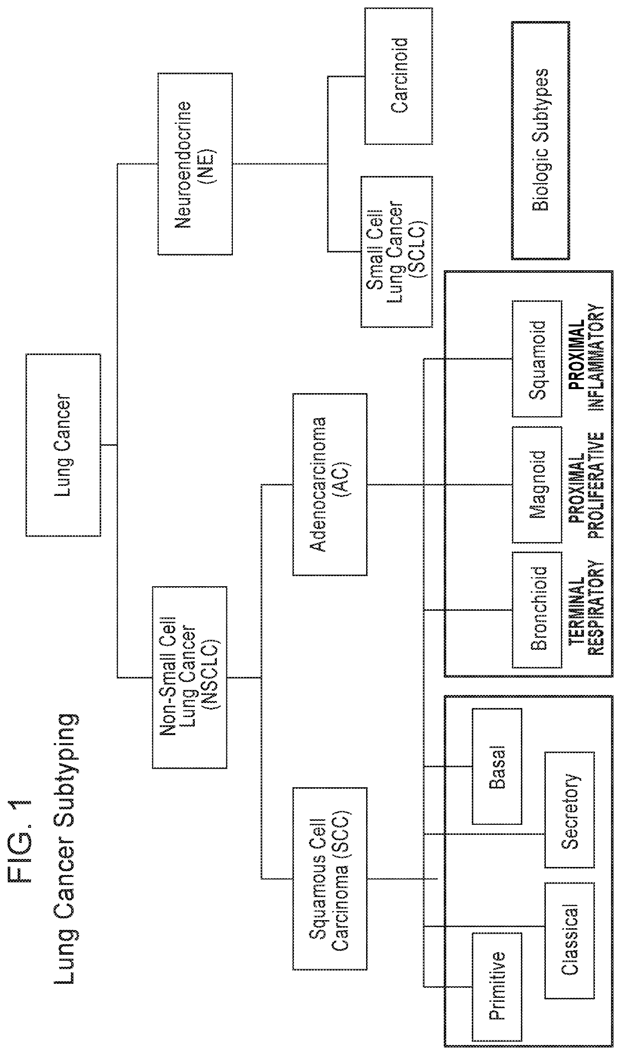 Methods for subtyping of lung squamous cell carcinoma