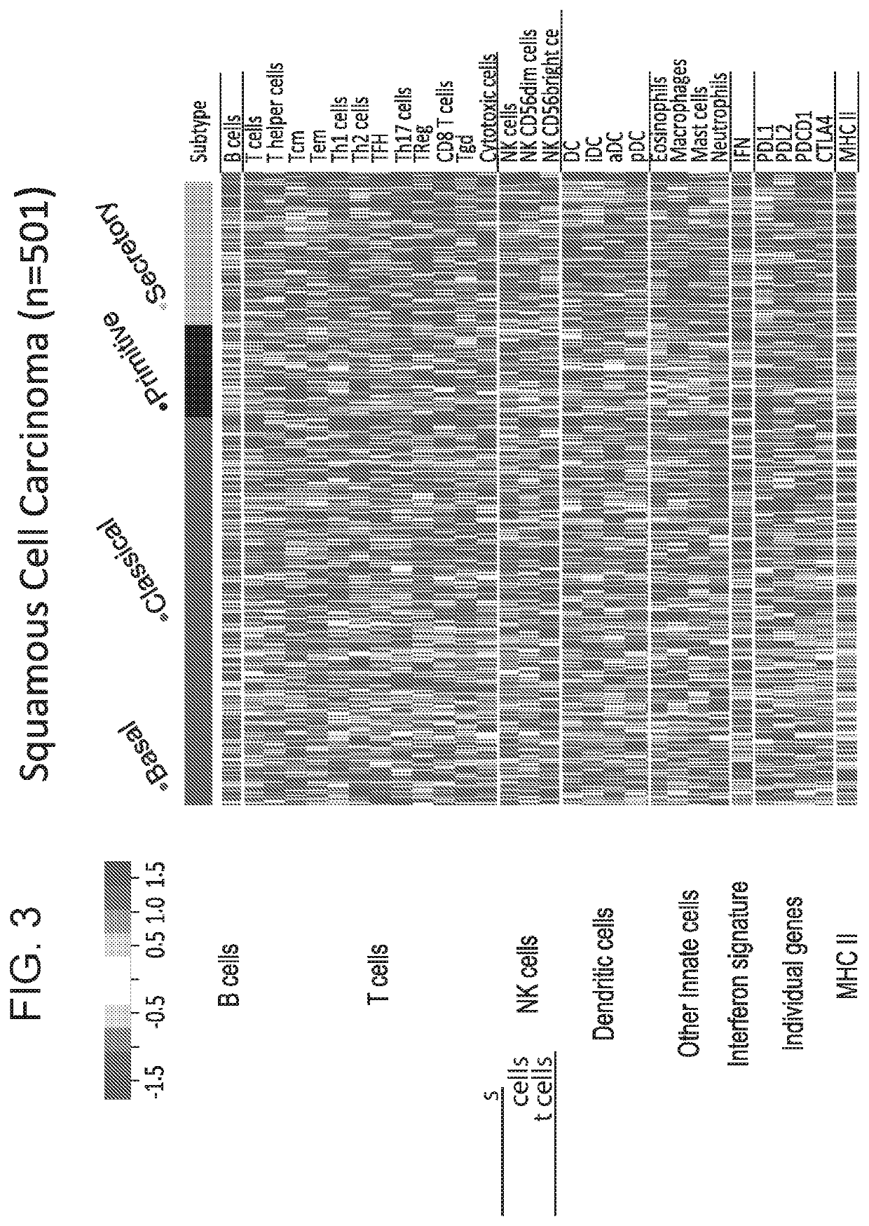 Methods for subtyping of lung squamous cell carcinoma