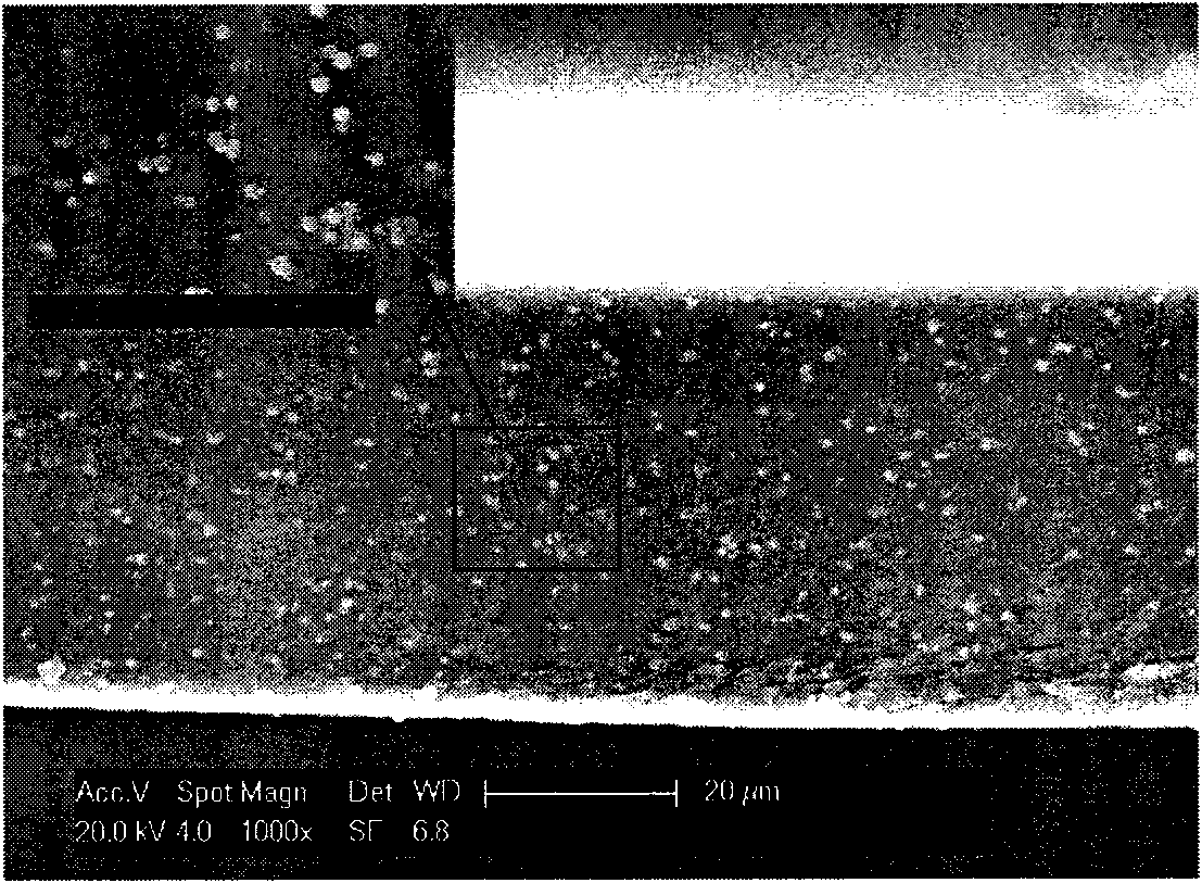 Organic phosphorylated titanium dioxide micrballon-filled chitosan hybrid membrane as well as preparation and application