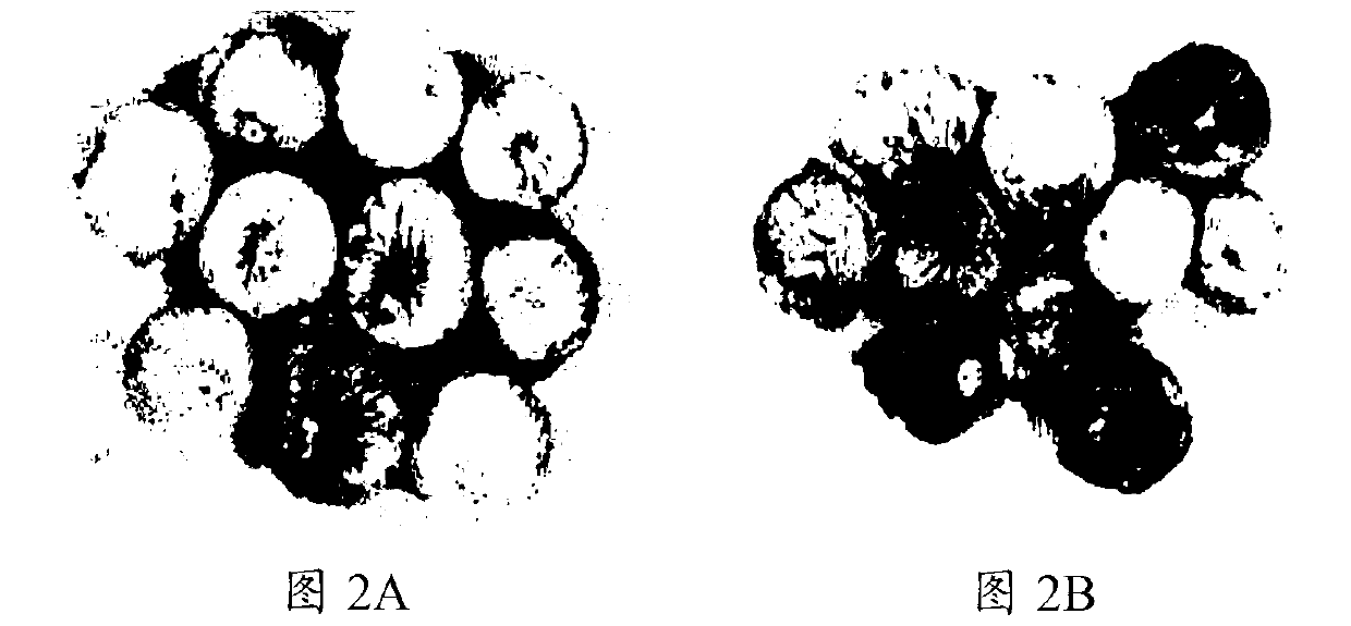 Device and method for grade evaluation of traditional Chinese medicine decoction pieces