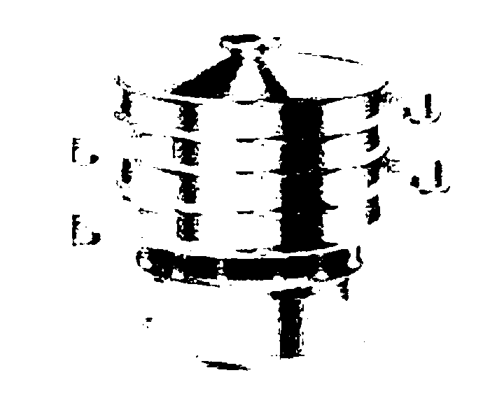 Device and method for grade evaluation of traditional Chinese medicine decoction pieces