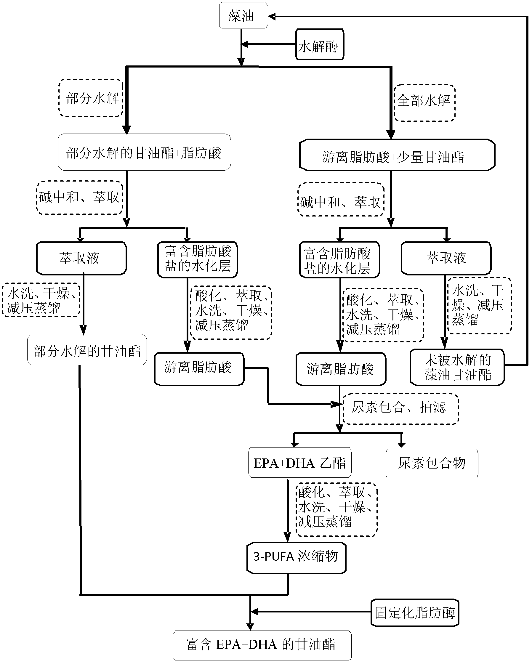 Method for preparing glyceride rich in algal oil n-3 polyunsaturated fatty acid through enzyme process