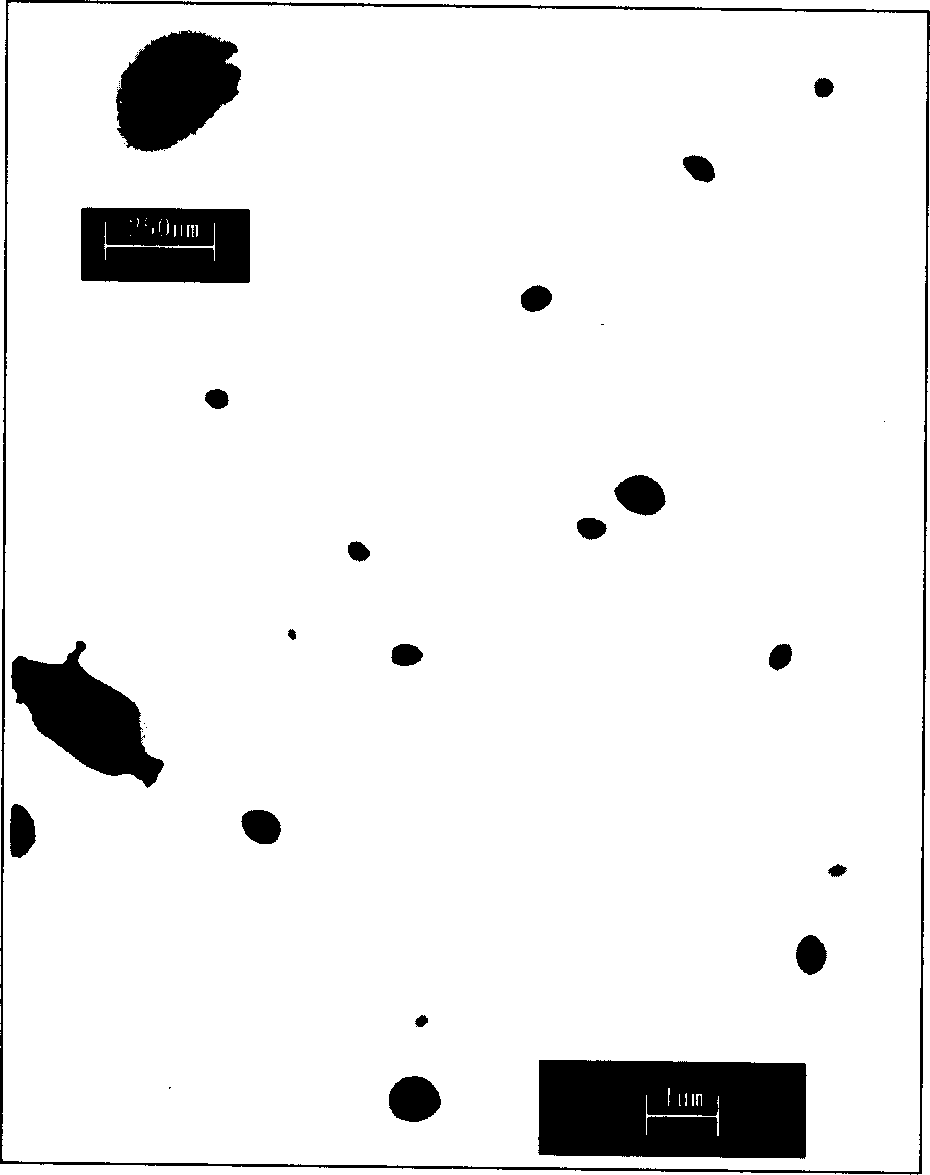 Nano-magnetic medicinal microglobule, its preparation method and application