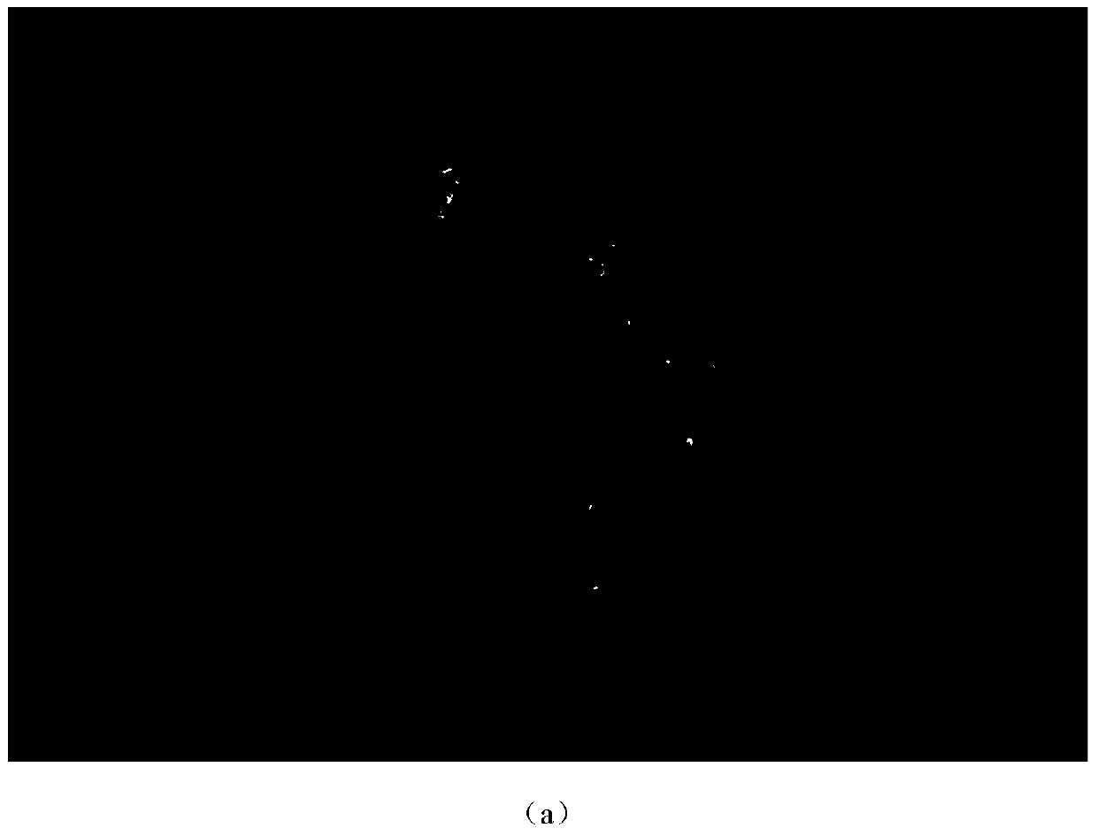 Breast X-ray image registration method and system based on barycenter