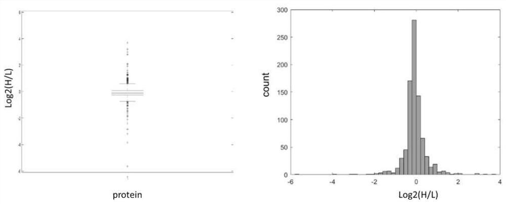 A method for protein quantification based on the dimethylation-tagged DIA strategy