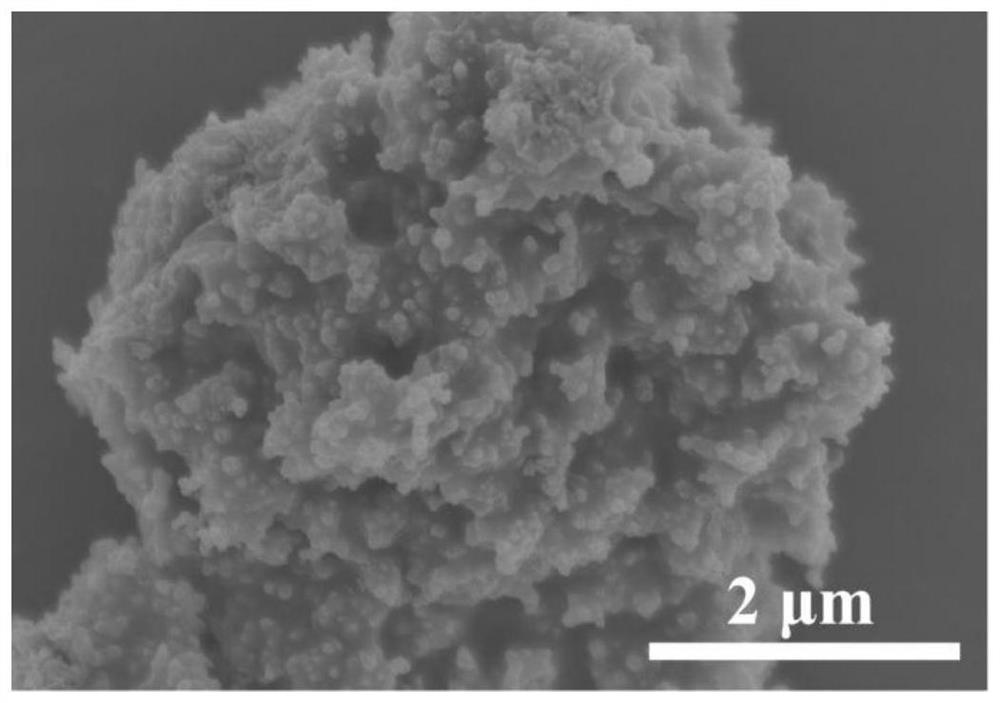 Method for preparing silicon-carbon nano hybrid material by wrapping silicon particles with chloroprene rubber adhesive and lithium ion battery negative electrode