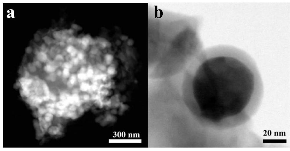 Method for preparing silicon-carbon nano hybrid material by wrapping silicon particles with chloroprene rubber adhesive and lithium ion battery negative electrode