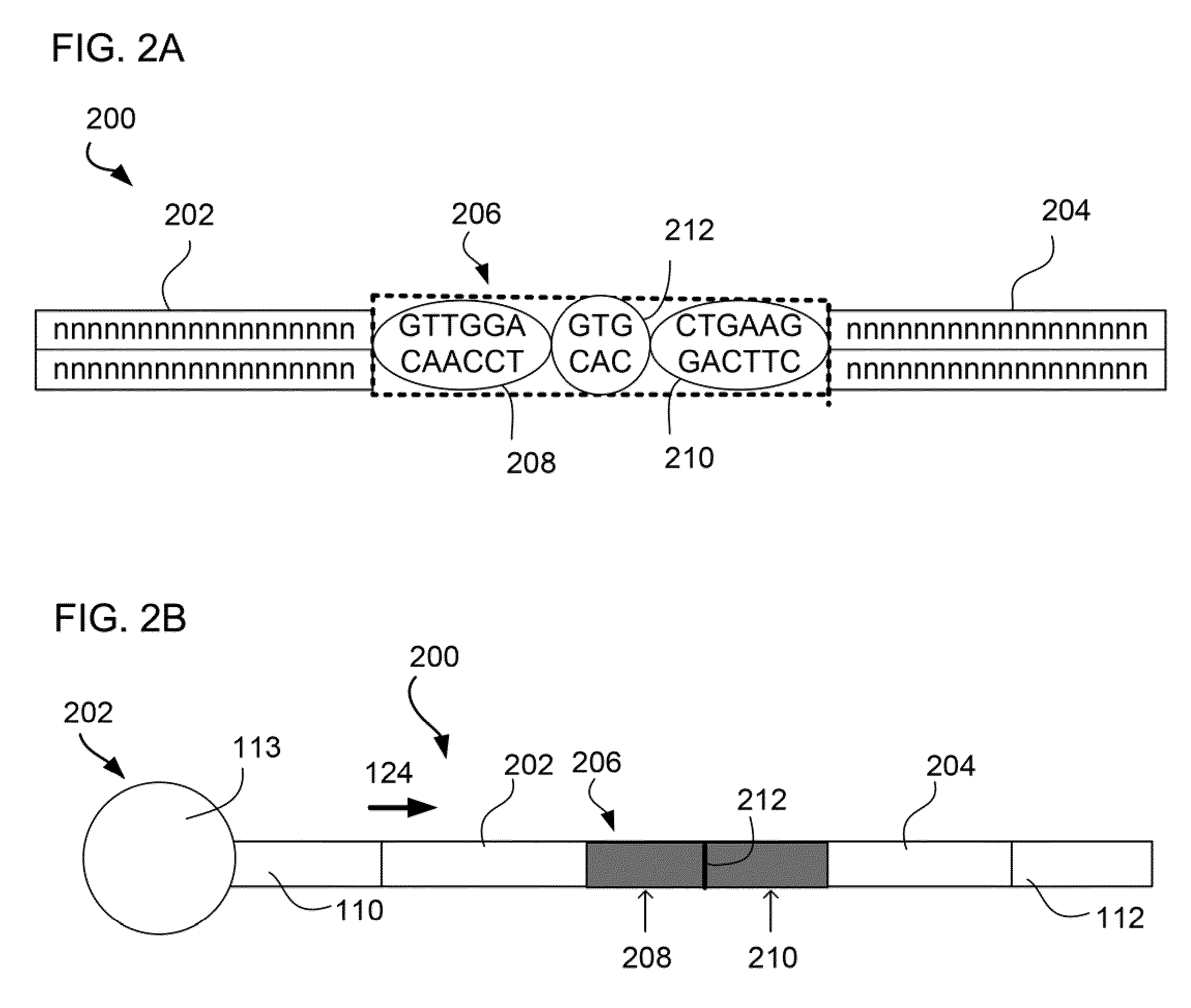 MULTIPLEX BARCODED PAIRED-END DITAG (mbPED) LIBRARY CONSTRUCTION FOR ULTRA HIGH THROUGHPUT SEQUENCING