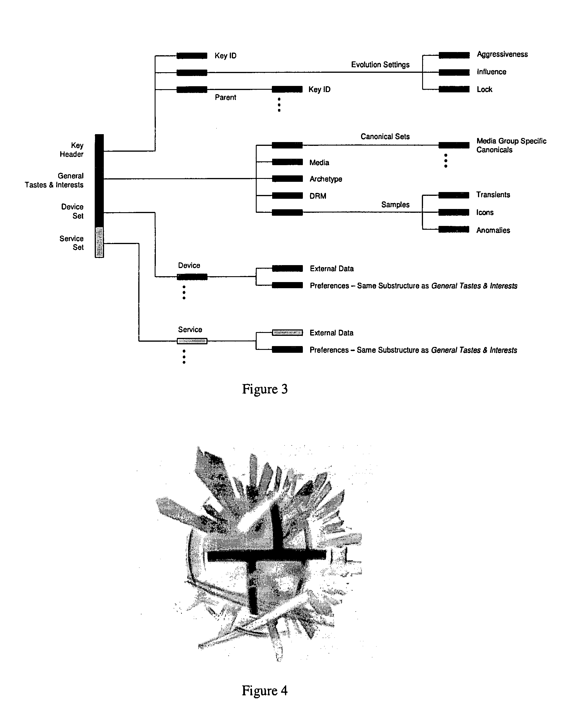 Display method and system for collecting media preference information