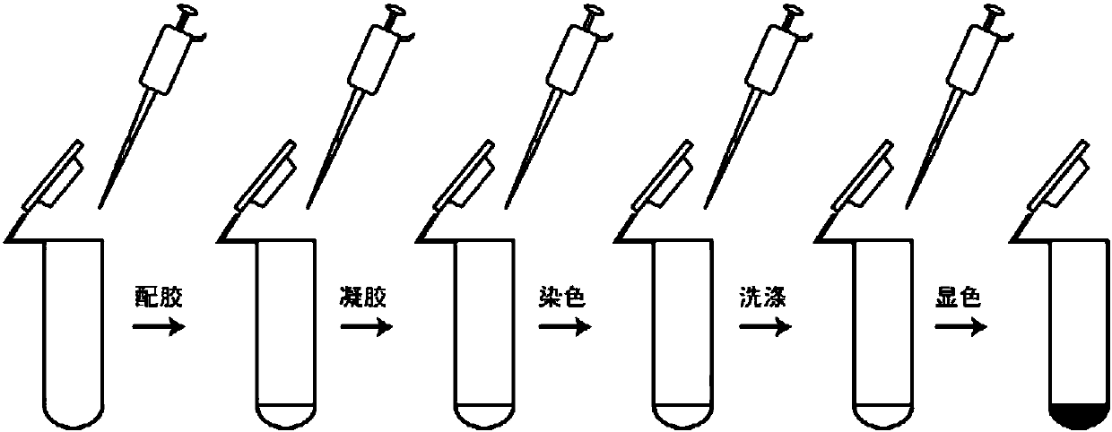 Fast silver staining method for RCA (rolling circle amplification) product